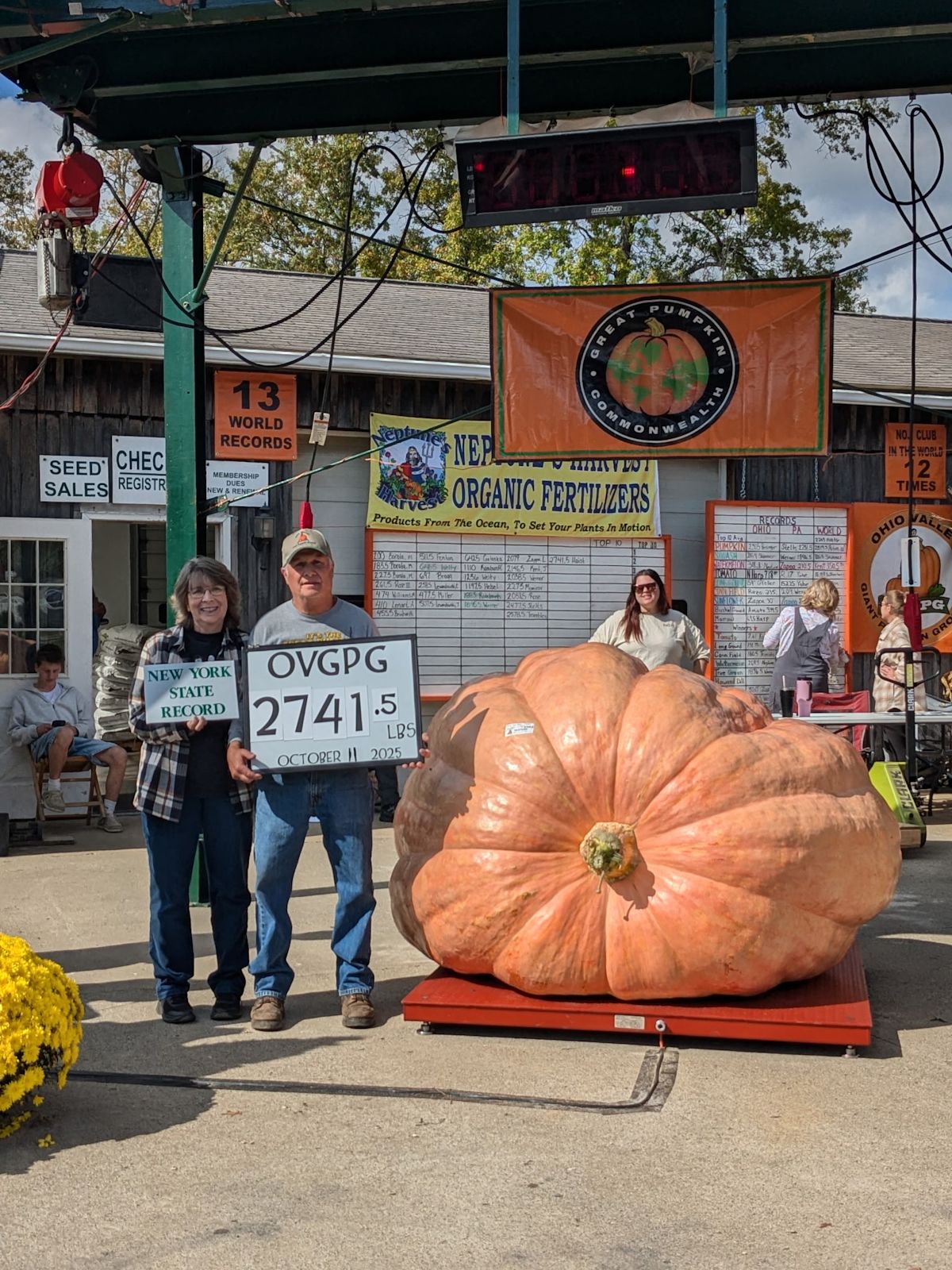 BIGSTONE農園 Clarence Schools Transportation Pair's Pumpkin Sets New York