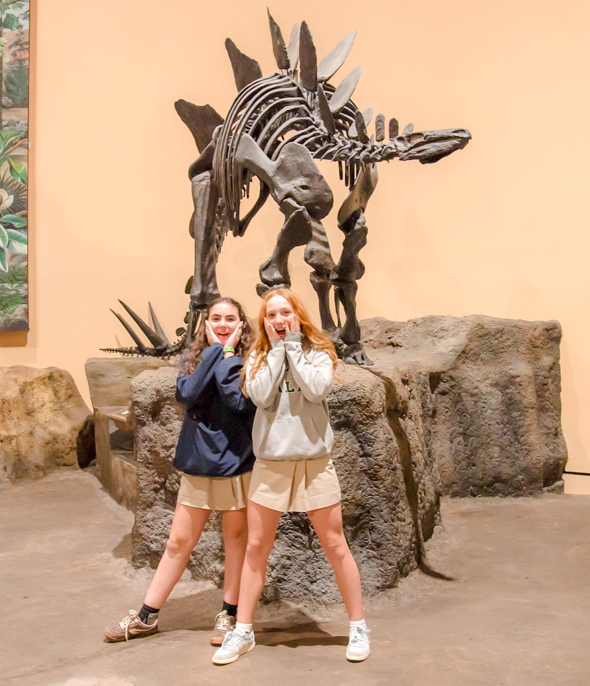 “One Turtle, One Ecosystem: Seventh Graders Learn the Big Impact of ...