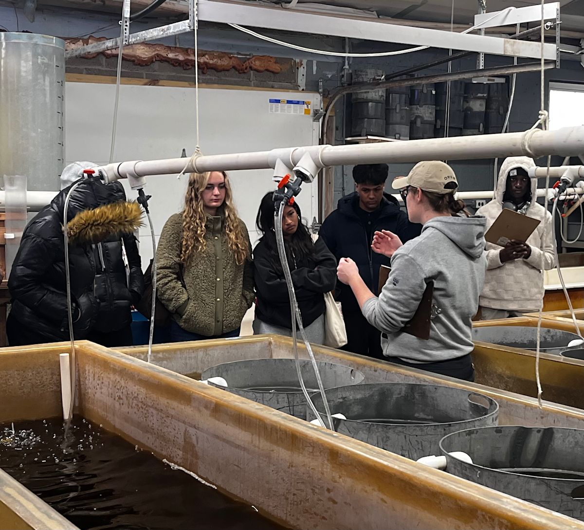 Lydia Mathger Exploring New Frontiers in Marine Biology Education | News