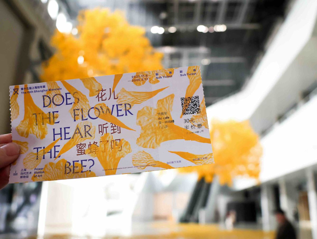 Hangzhou International School senior art students explore