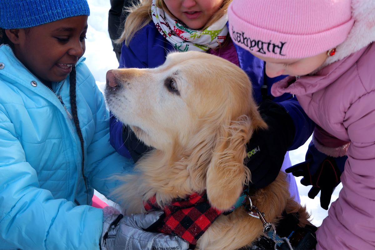 Watch: A Day in the Life of a Therapy Dog | District News Article