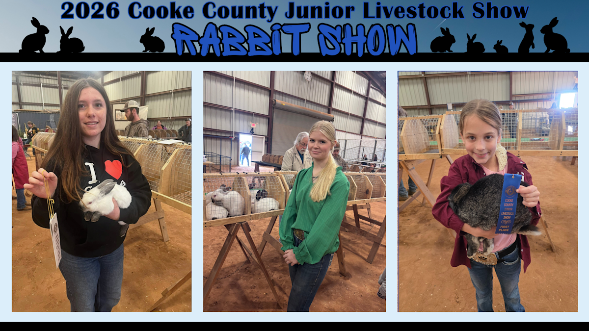 Cooke County Livestock Show - Rabbit Competition | Post Details