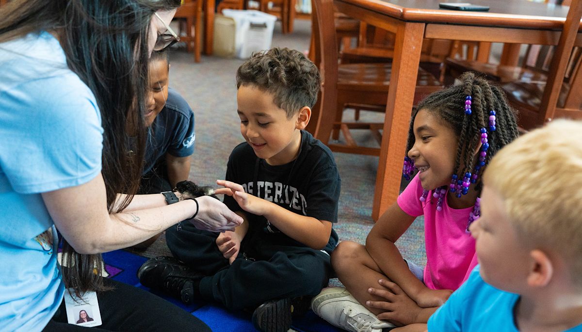 Sherman Students Hatch New Interests | Homepage News Board Post Page