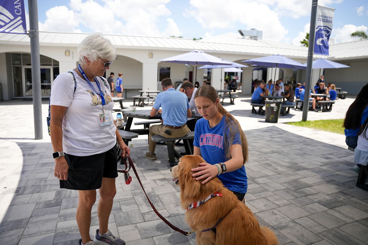 Paws and Relaxation: Therapy Dogs Visit Students on Campus | Posts ...