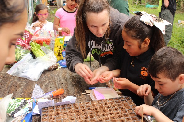 The Role of the Arts in Waldorf Education - Summerfield Waldorf School and  Farm