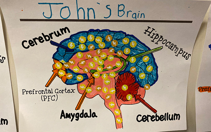 Neuroscience For Kids - The Skull