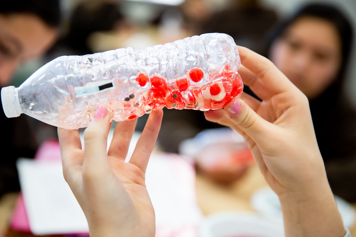 Biology Blood Components Lab News Post General Mount Carmel Academy