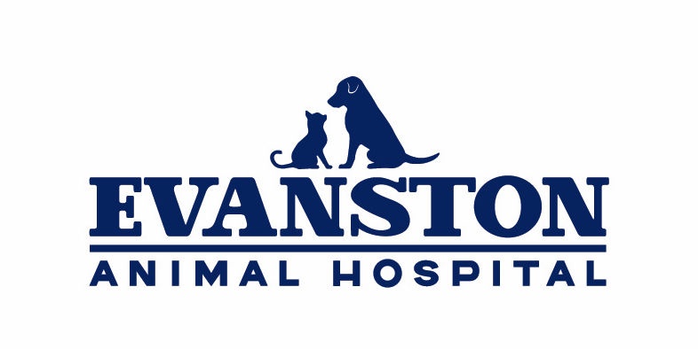 Evanston Animal Hospital