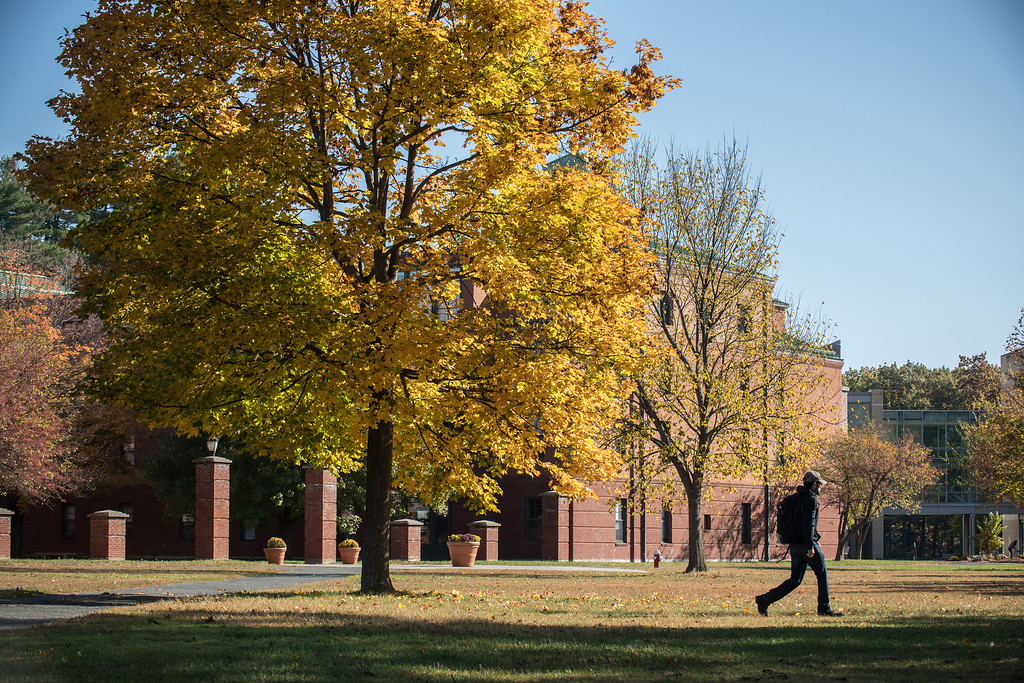 Westfield State among top public universities in U.S. News & World