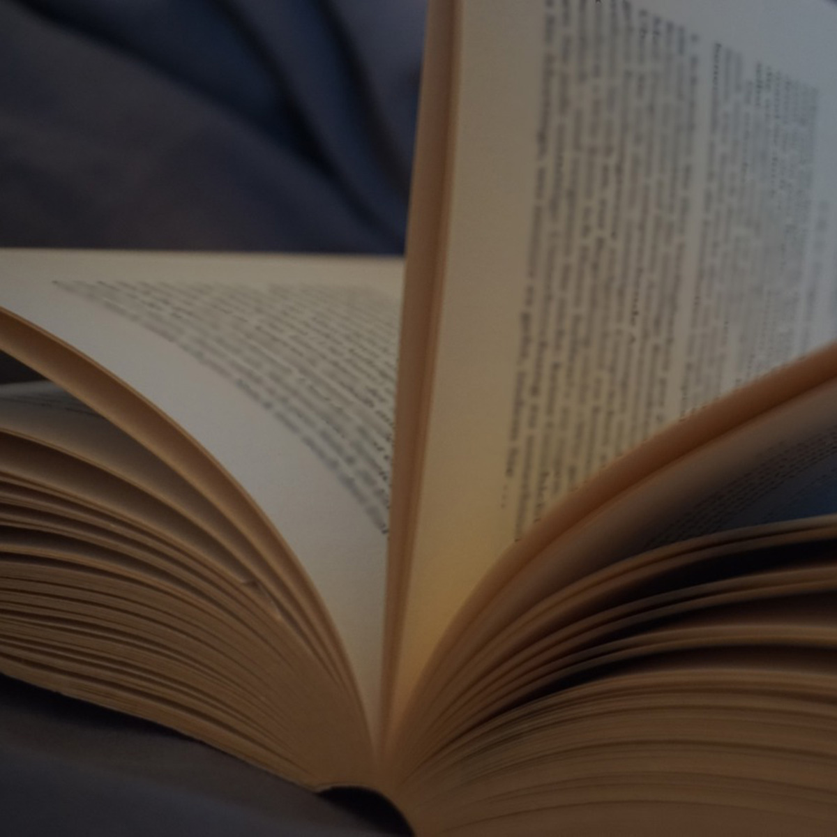 The Promise Of Reading A Commonwealth Conversation News Post