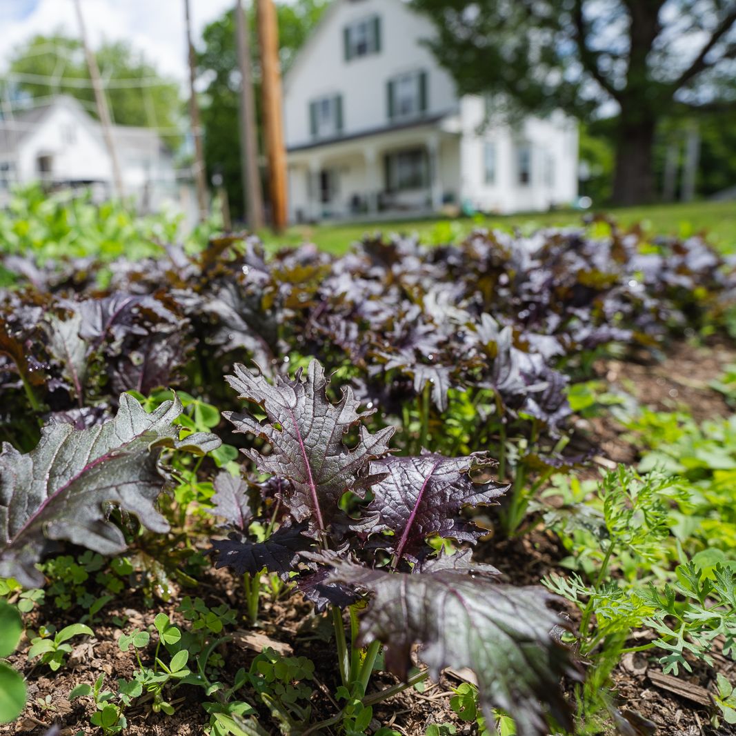 What is Nutrition? News Post Hebron Academy