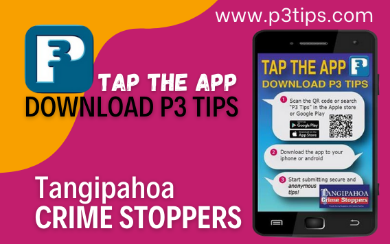 How to download Taptap App store