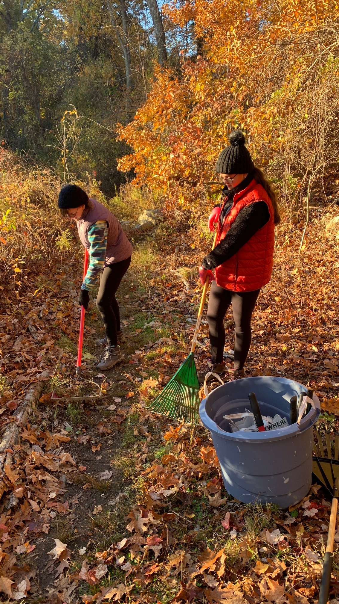 Clearing Trails at Cider Knolls News Details The Advanced Math and