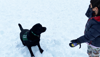 Therapy For The Therapy Dog 