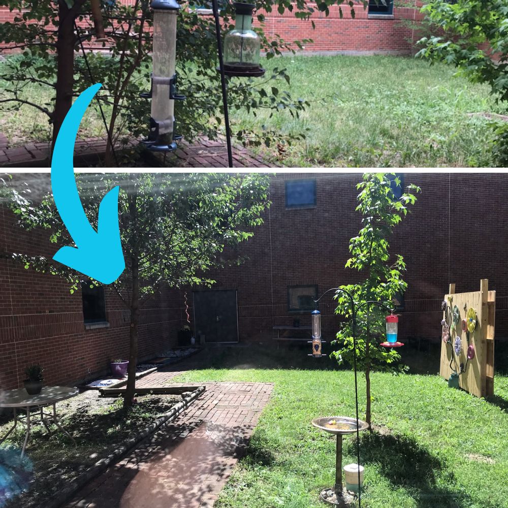 Courtyard Transformation At Lakota East School News Detail Page