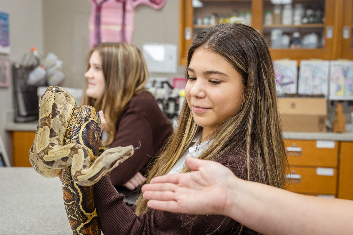 Animal Science: Exotic Visitors 