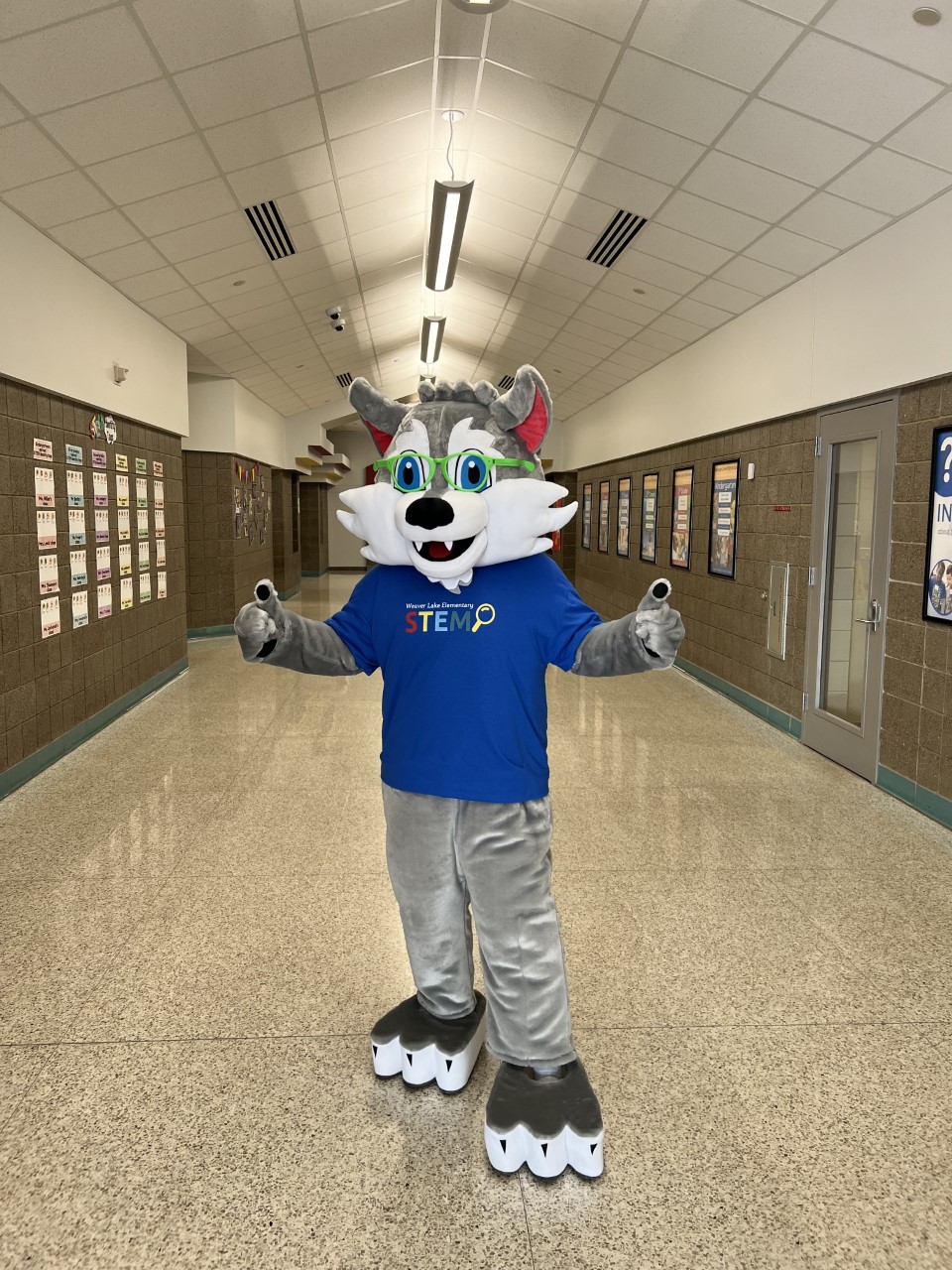 Weaver Lake Elementary School unveils new mascot article ISD 279