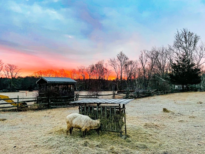 3rd8th Grades Field Trip to The Ashokan Center News Story