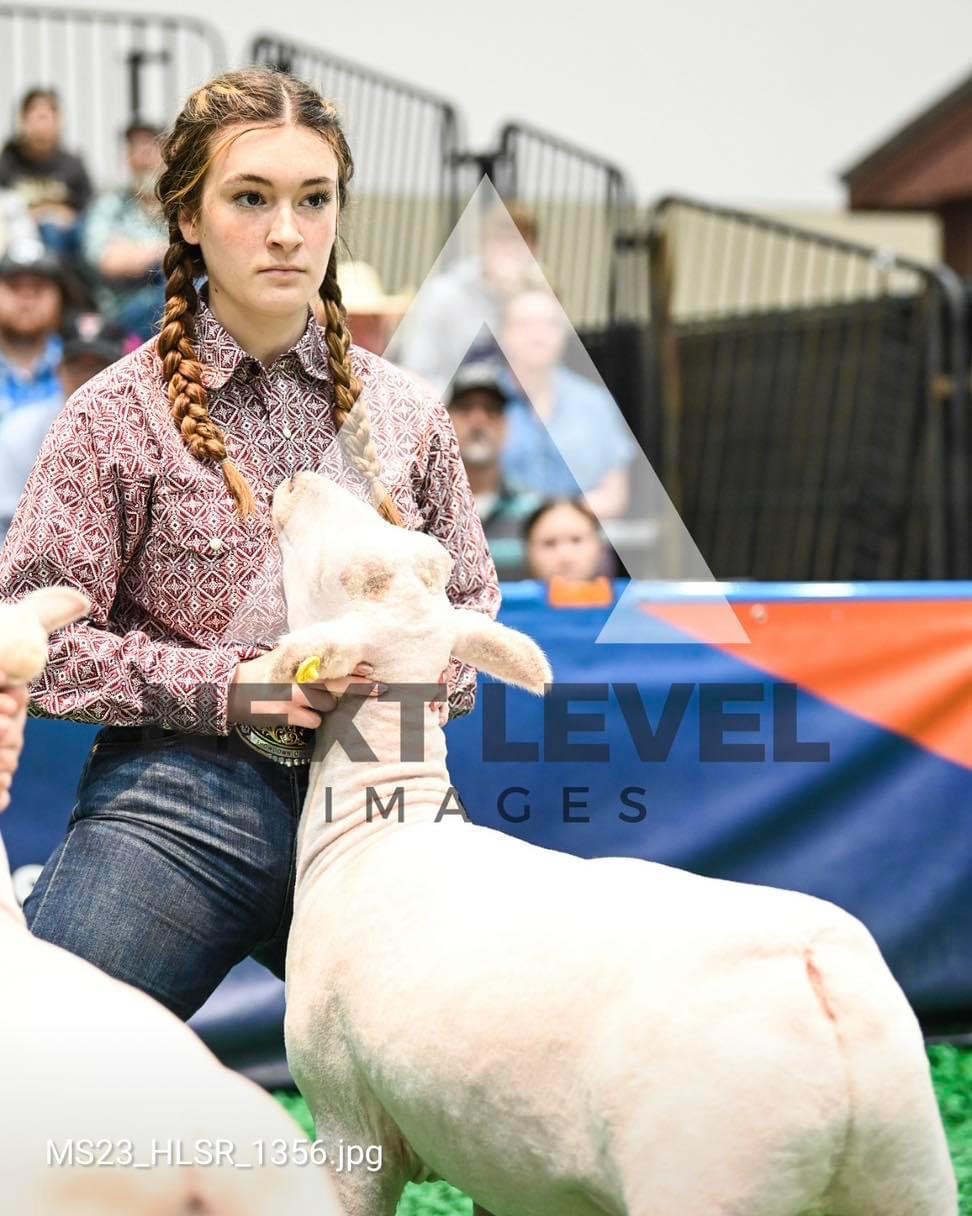 Houston Livestock Show Lamb and Goat Results News details