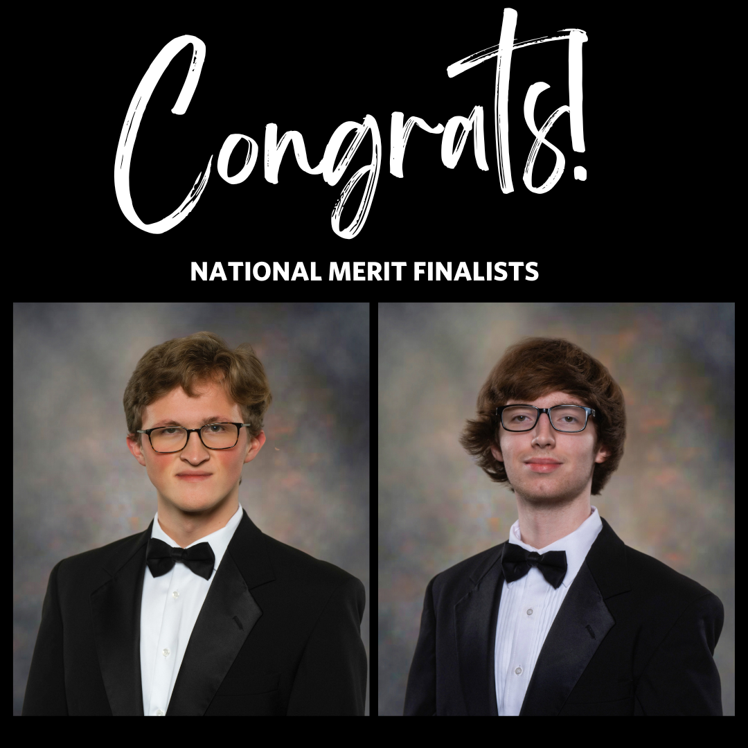 NATIONAL MERIT FINALIST VS WINNER visual data 4