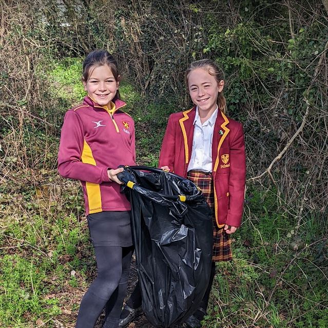 Sustainability News Posts Page