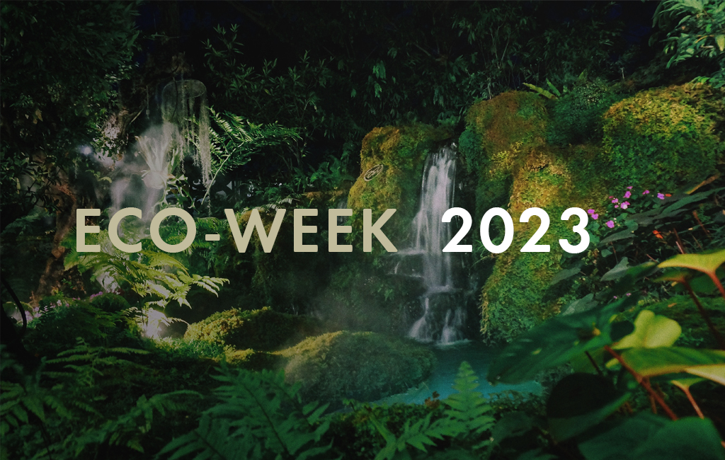 Eco Week Encourages Student-led Action For A Sustainable Future | News ...