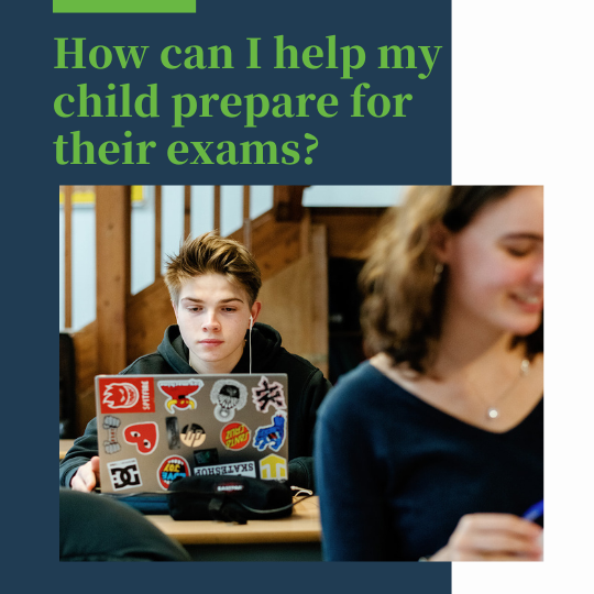 How can I help my child prepare for their exams? | News Details