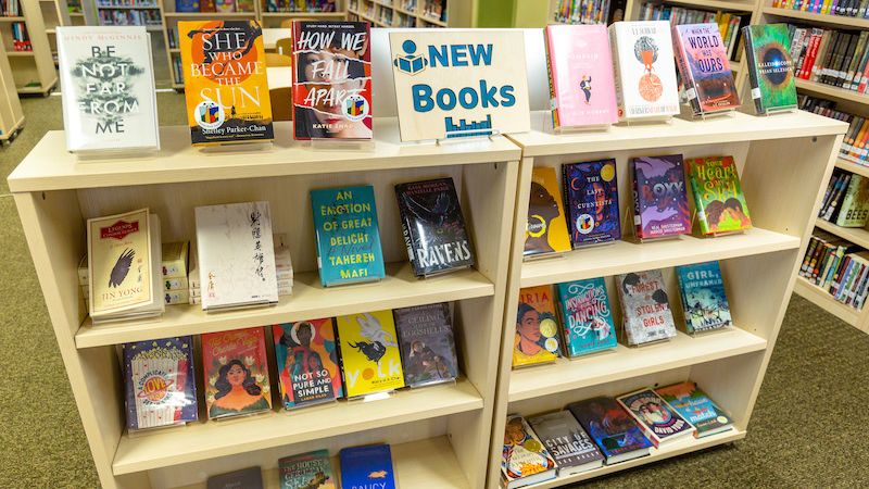 #LibrarianCorner | Summer Book Recommendations