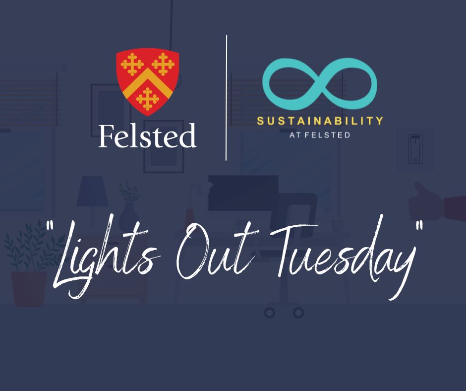 Lights Out for Sustainability Posts Page