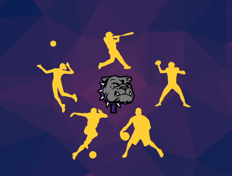 Sports Facilities Safety Details