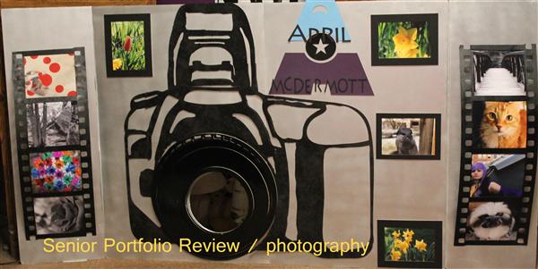GD 2013-14 Port Folio Review