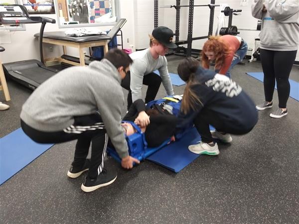 SM Spine Board