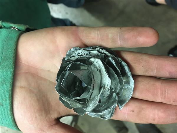WE Rose Student Creation