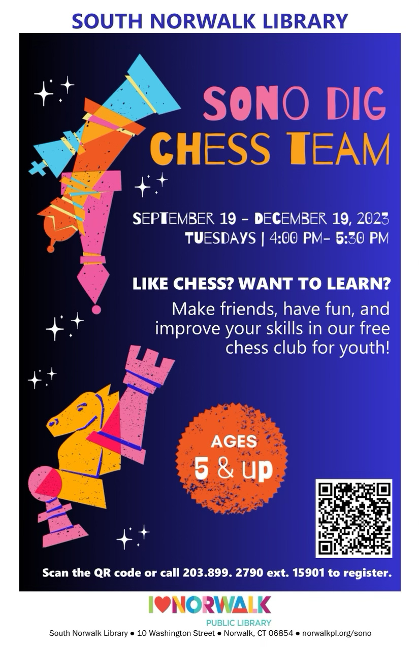 MVL DIG Chess Experience – DIG Chess Team