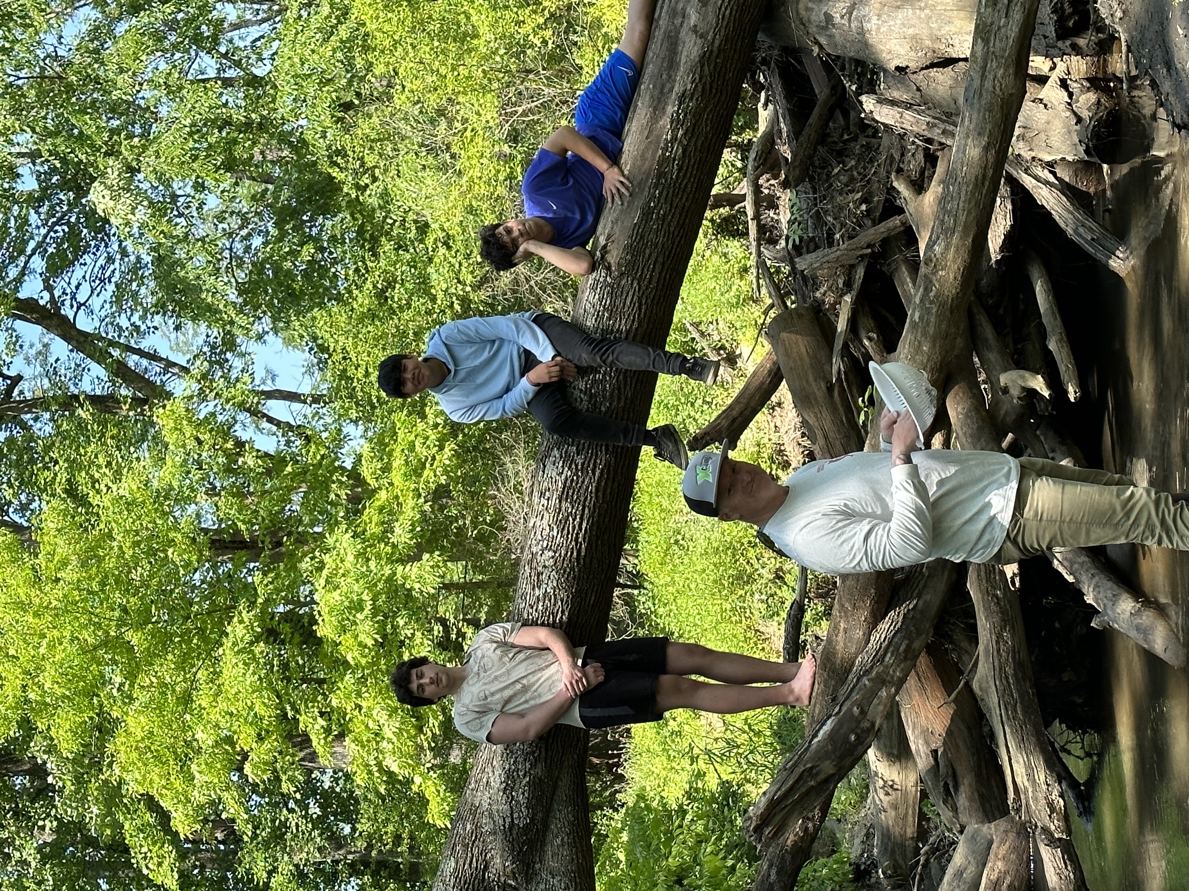 Three students and the teacher on a tree over a stream