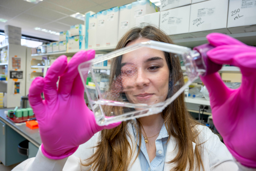 Fundación Barrié Summer Fellowship Program LSUHS School of Graduate