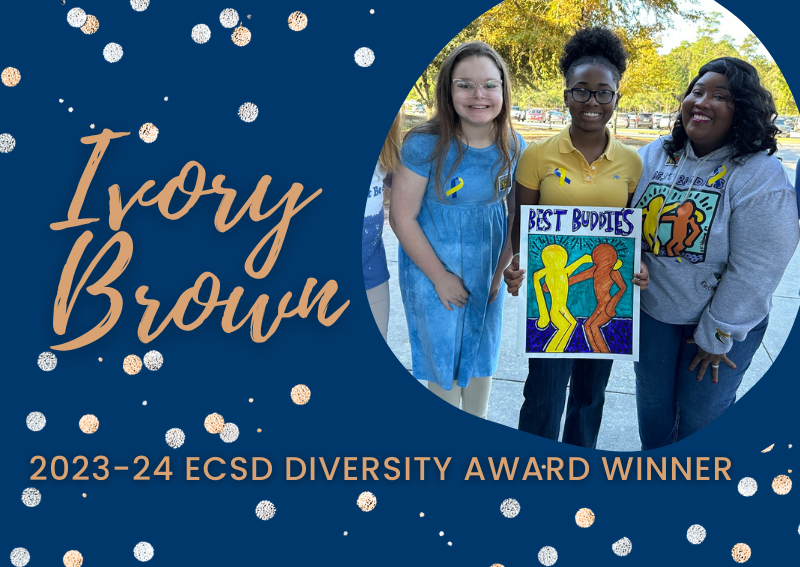 202324 ECSD Diversity Award News Details Effingham County Schools