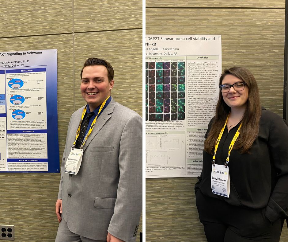 Misericordia Students Present at the American Society of Cell Biology