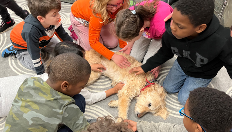 Misty the therapy dog visits Colonial classrooms | District Posts Item