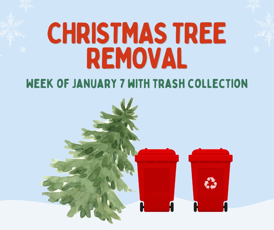 Christmas Tree Pickup Week Of January 7 2024 Details   414930854 683493960634524 9185840702631081710 N 