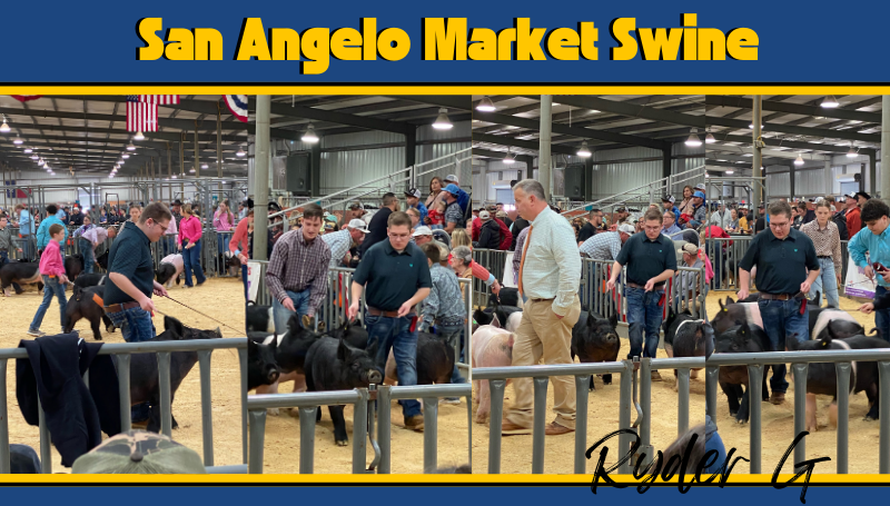 San Angelo Market Swine | Post Details