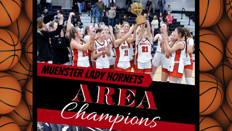 Congratulations to Lady Hornet Basketball - Area Champs! | Post Details