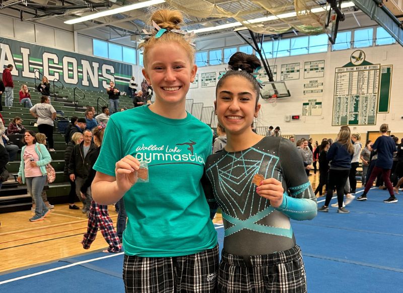 Two Walled Lake Central gymnasts qualify for the MHSAA state meet ...