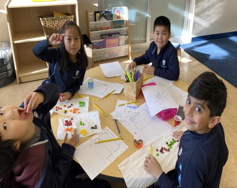 Math in the Elementary School | Blog Post - Meadowridge School