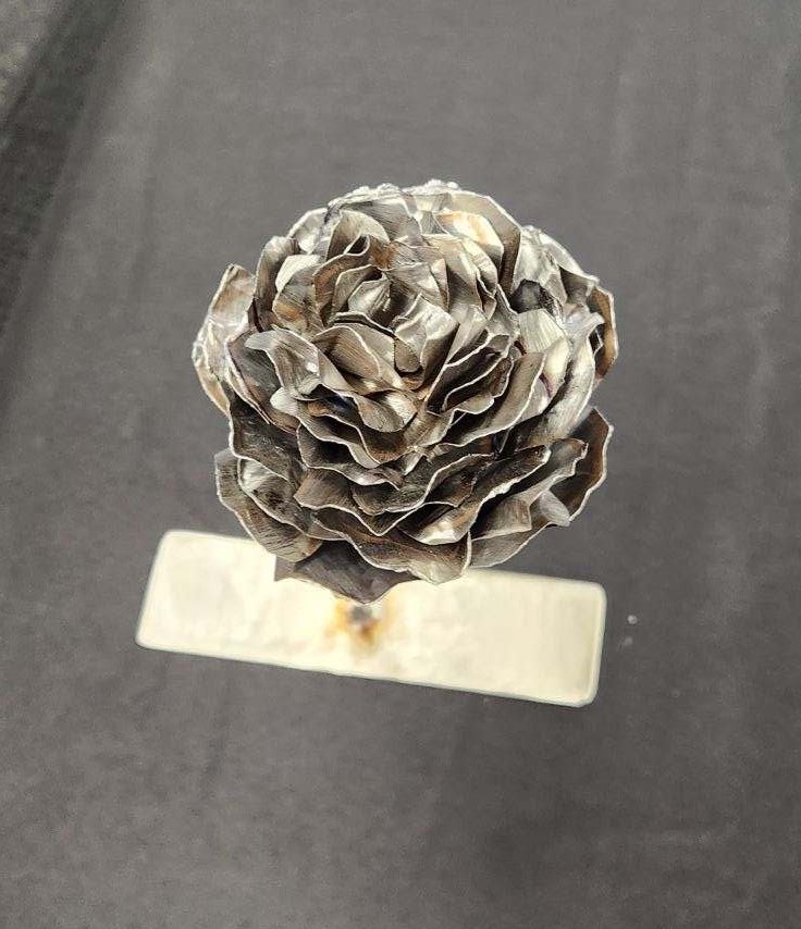 WE  Silver Rose 3/8/2024
