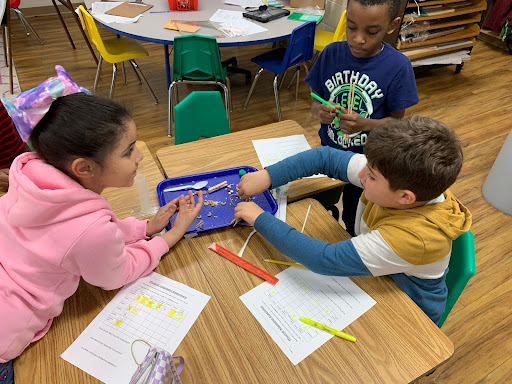 Third grade learns about bird beaks | News Story