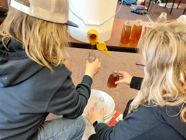 Filling jars with honey