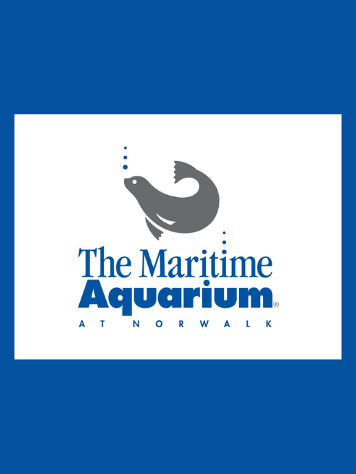 Maritime aquarium summer camp jmses board