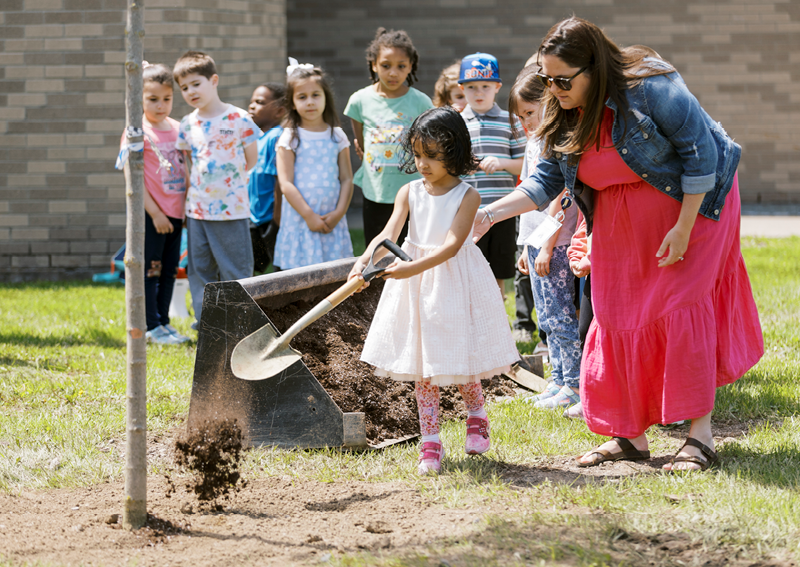 Kindergarten Tree Planting | News Details