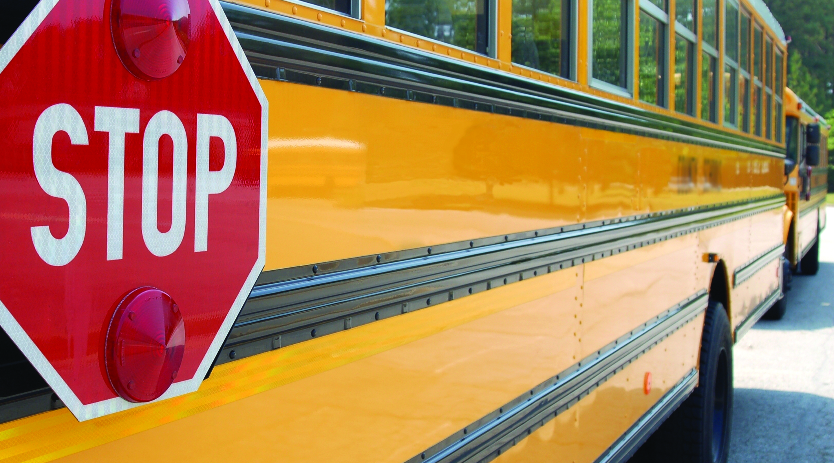A Line of Buses